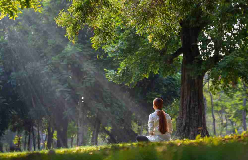 New Life Recovery Centers, San Jose MAT Mindfulness and Wellness