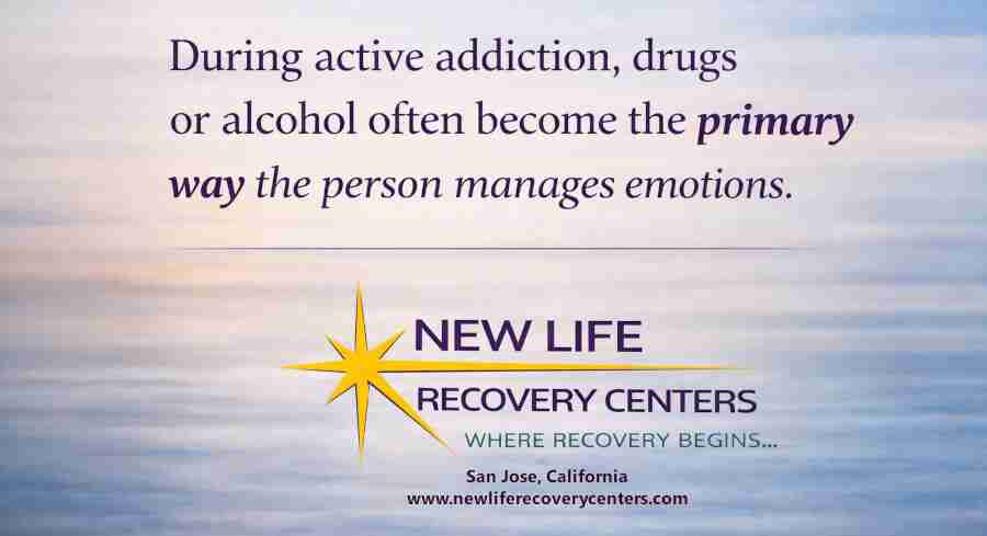 New Life Recovery Centers, San Jose - Northern California Addiction Rehab, During Addiction, drugs or alcohol and the primary ways of dealing with emotions