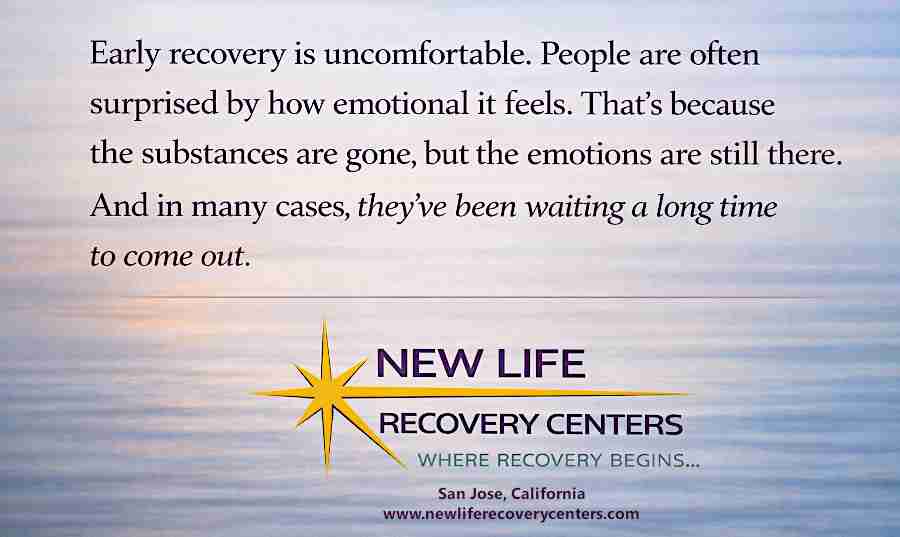 New Life Recovery Centers, San Jose - Northern California Addiction Rehab, Early recovery and new beginnings
