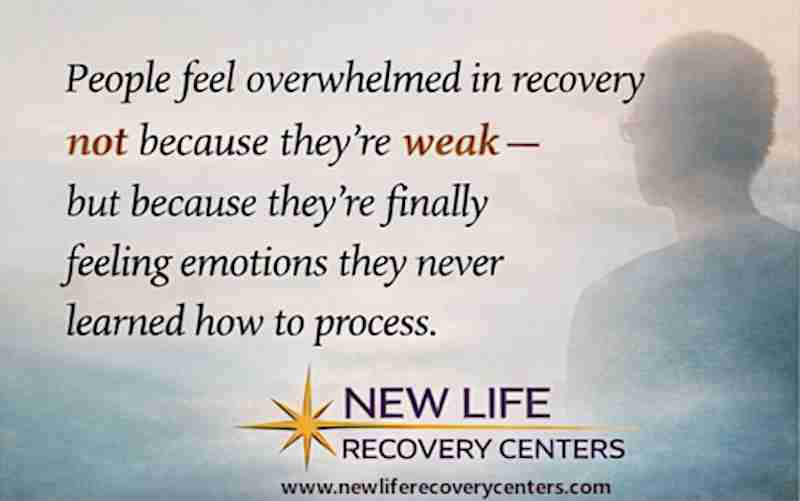 New Life Recovery Centers, San Jose - Northern California Addiction Rehab, Learning to Process Emotions