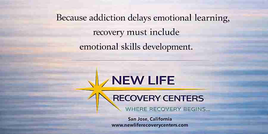New Life Recovery Centers, San Jose - Northern California Addiction Rehab, Recovery Must Include Emotional Skills Development