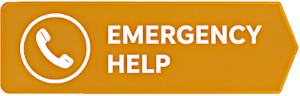 New Life Recovery Centers, San Jose - Northern California Addiction Rehab, What Should You Say When Your Loved One Calls - Emergency Help