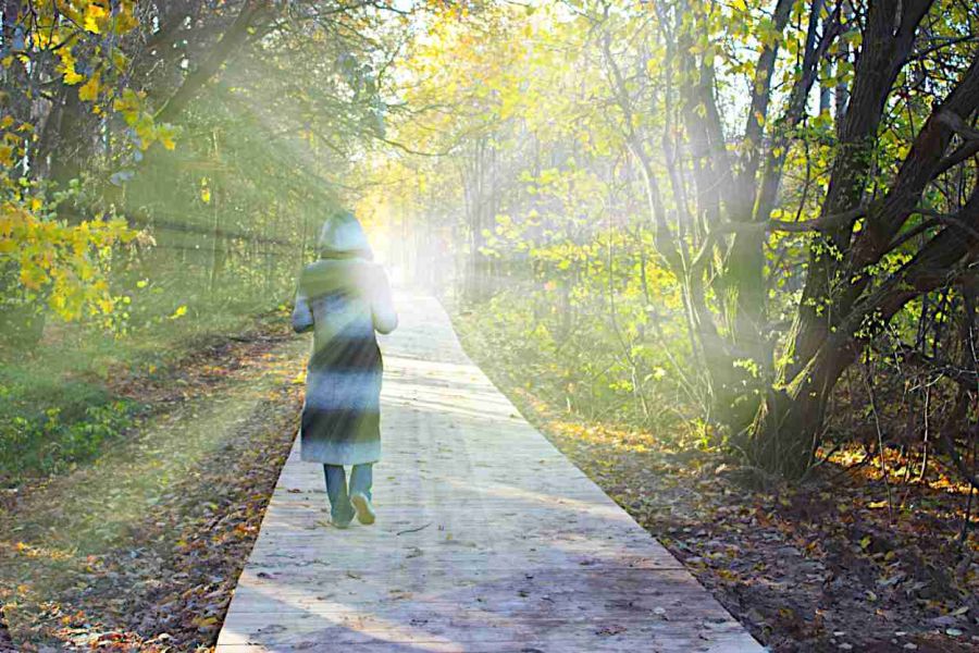 New Life Recovery Centers, San Jose - Northern California Addiction Rehab, Post Traumatic Addiction-Related Growth