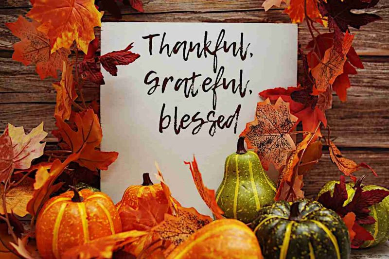 New Life Recovery Centers, San Jose - Northern California Addiction Rehab Treatment, Thanksgiving Mindful Reflection Exercise