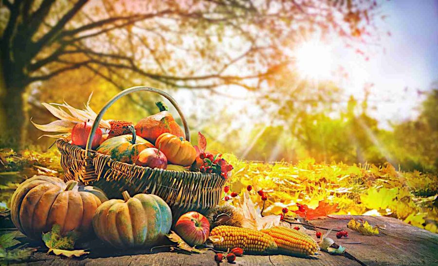 New Life Recovery Centers, San Jose - Northern California Addiction Rehab Treatment, Thanksgiving Addiction Recovery Tips
