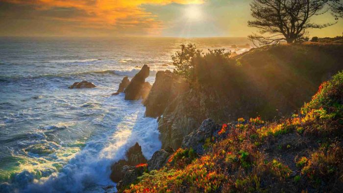 NorCal Addiction Recovery Rediscovering Self-Worth