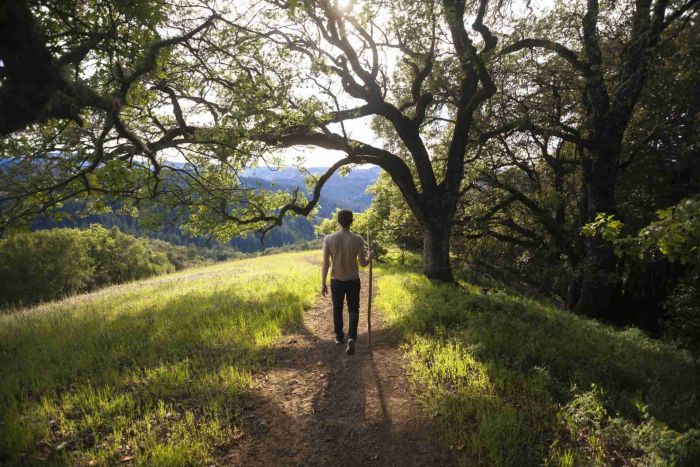 New Life Recovery Centers San Jose Northern California a Place for new Beginnings