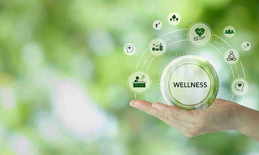New Life Recovery Centers, San Jose and Silicon Valley - Wellness After Opioid Abuse