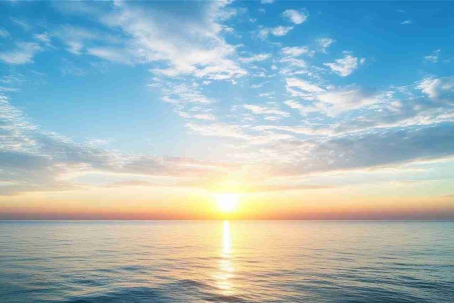 New Life Recovery Centers San Jose The Life-Changing Benefits of Recovering from Drug and Alcohol Addiction